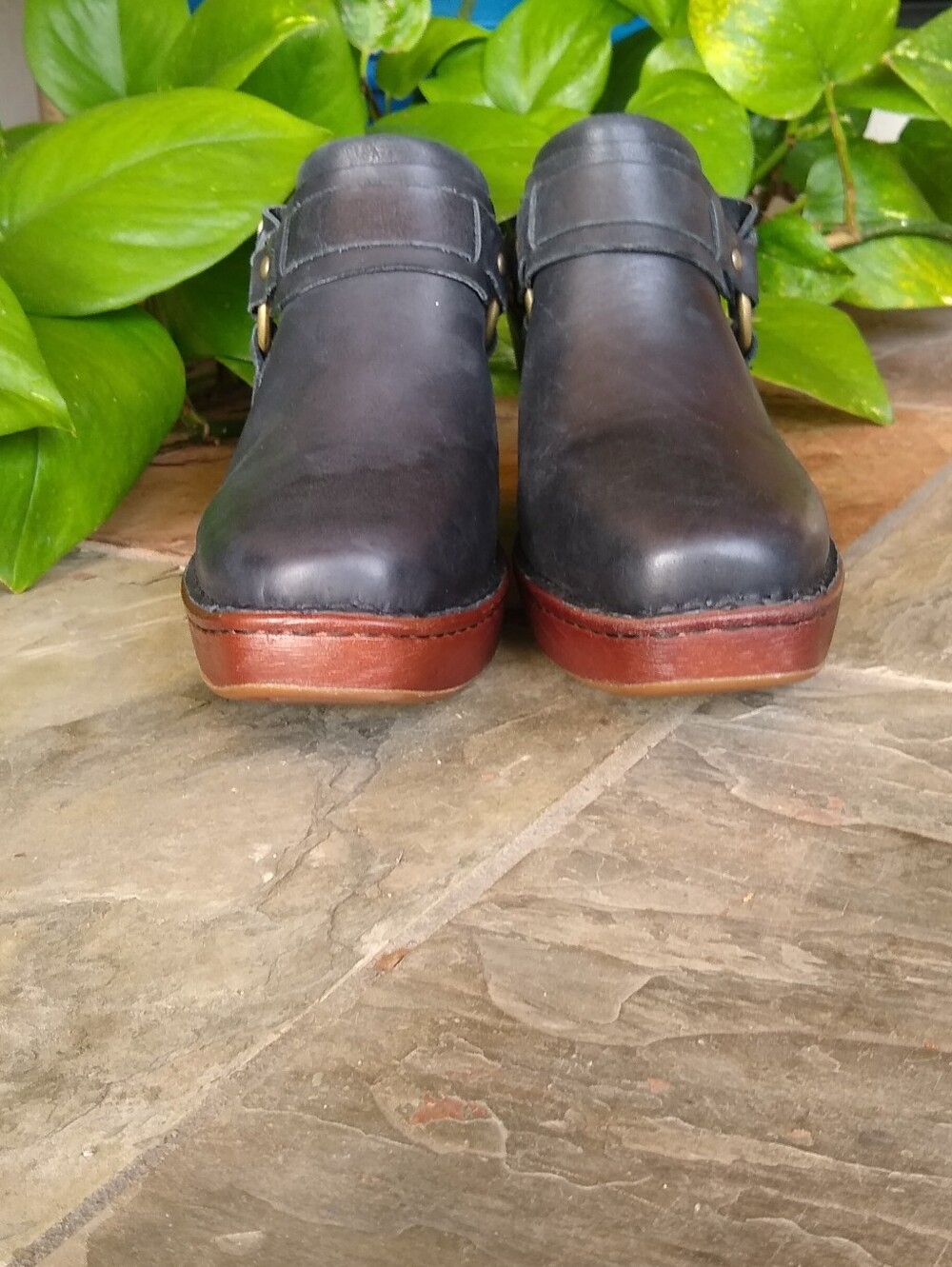 Like New BORN Hudson Slingback Clog 9 Black Worn 1x! - Picture 6 of 11